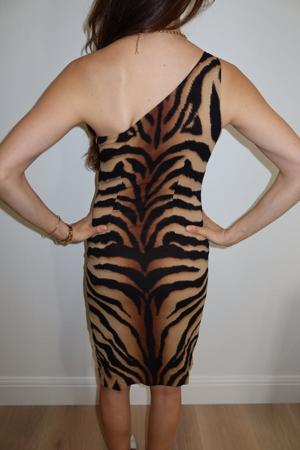 Versace FW2004 One Shoulder Tiger Dress